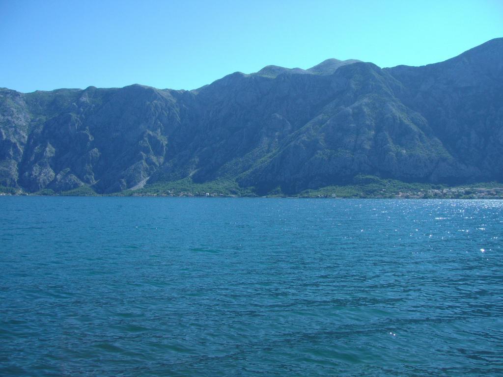 Apartments Dani Kotor Rum bild